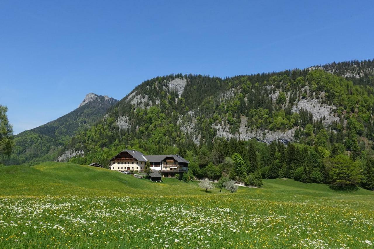 Urlauben im Grünen Fuschl am See Exterior foto